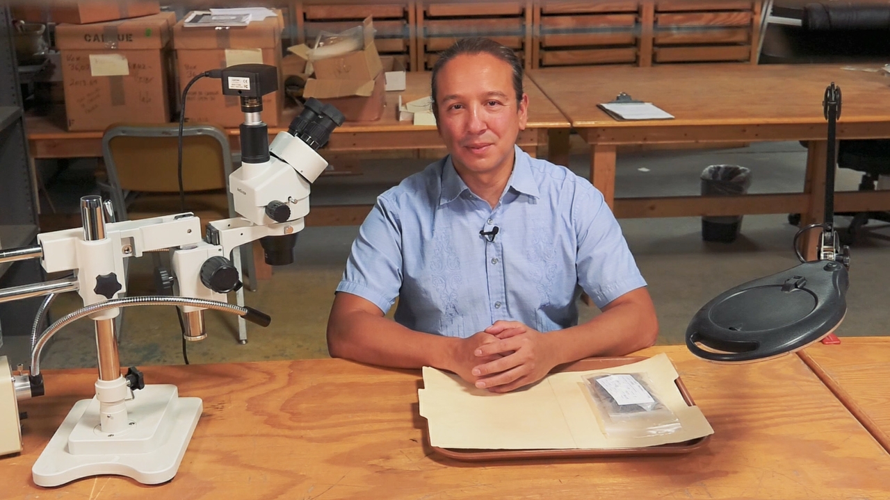 In the Maxwell lab