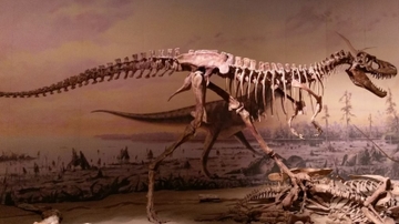 Did teenage ‘tyrants’ outcompete other dinosaurs? 