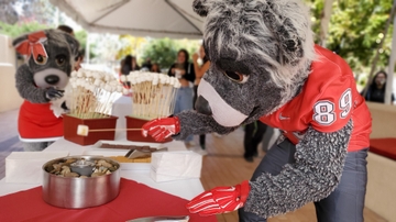 UNM S’mores Roast kicks off Homecoming 2021 