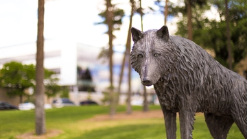 College of Arts & Sciences SHIP Award nominations now open