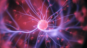 UNM study seeking participants will look at increasing learning and memory in older adults