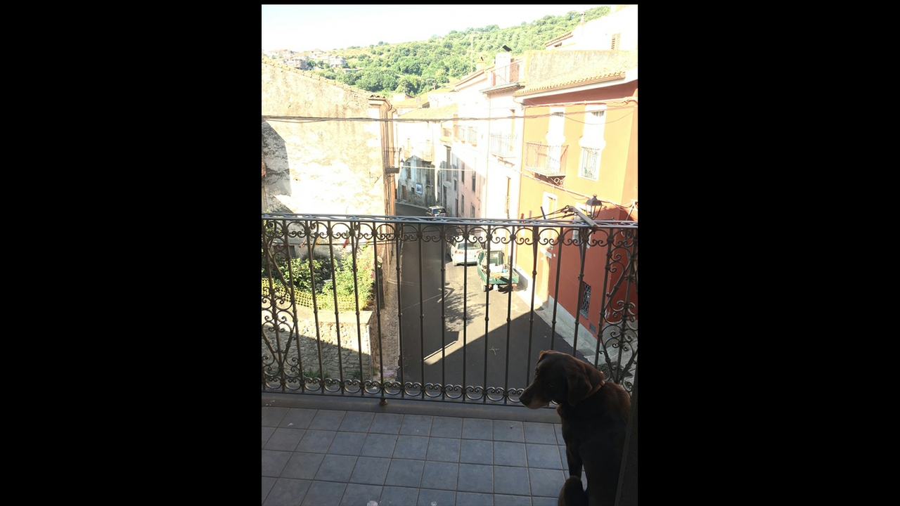Room with a view