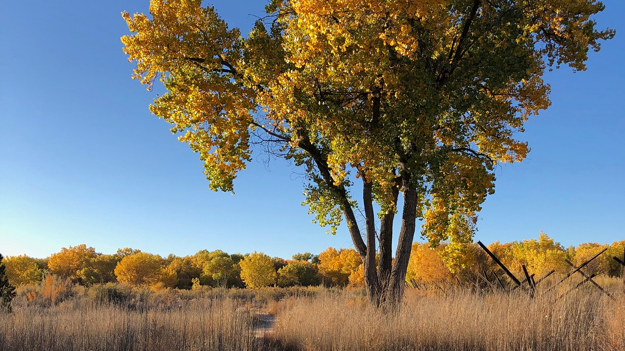 Community Geography series