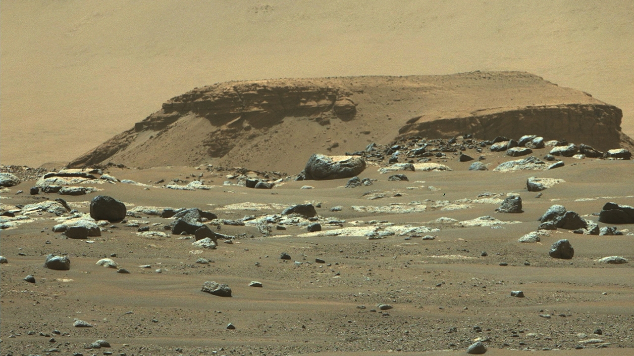 Delta Remnant