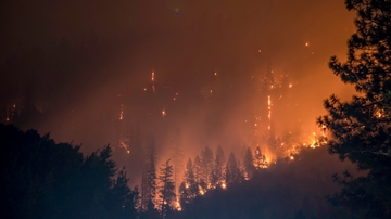 Study: Wildfires threaten river networks in the western U.S.