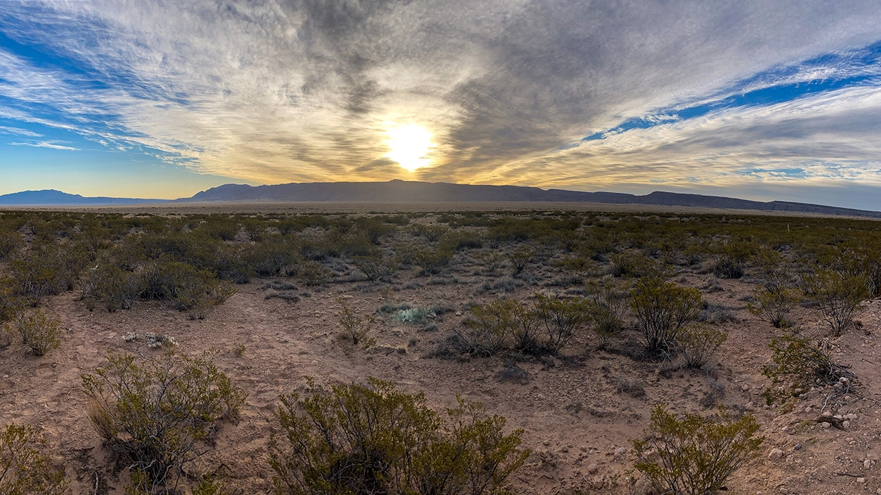Chihuahuan Desert 