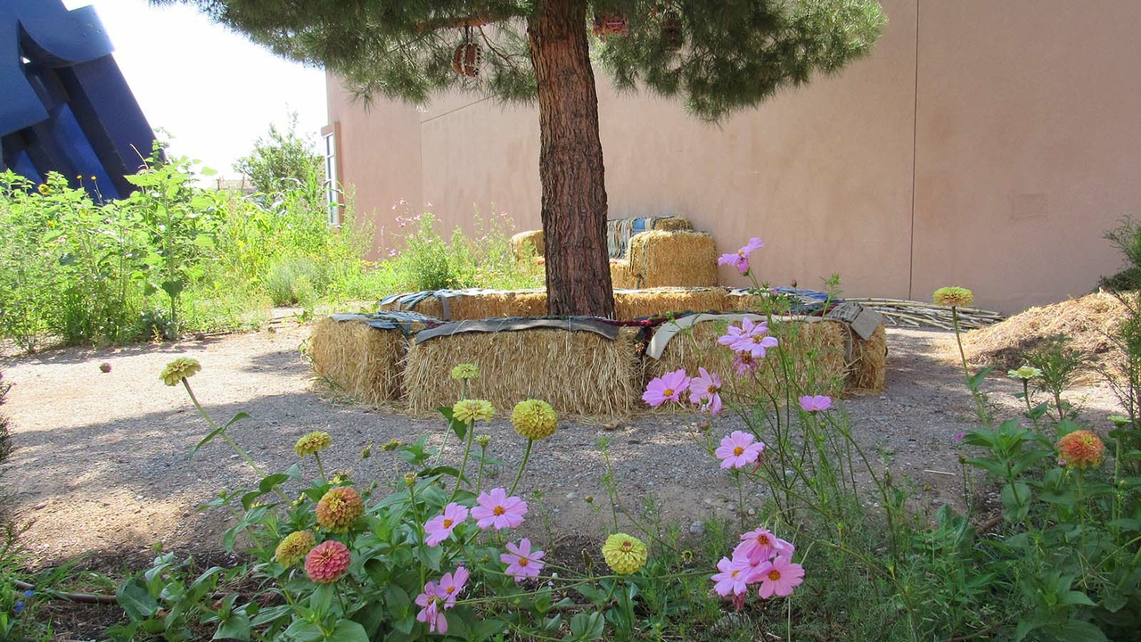 A Garden