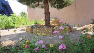 Students engage in community in A Garden