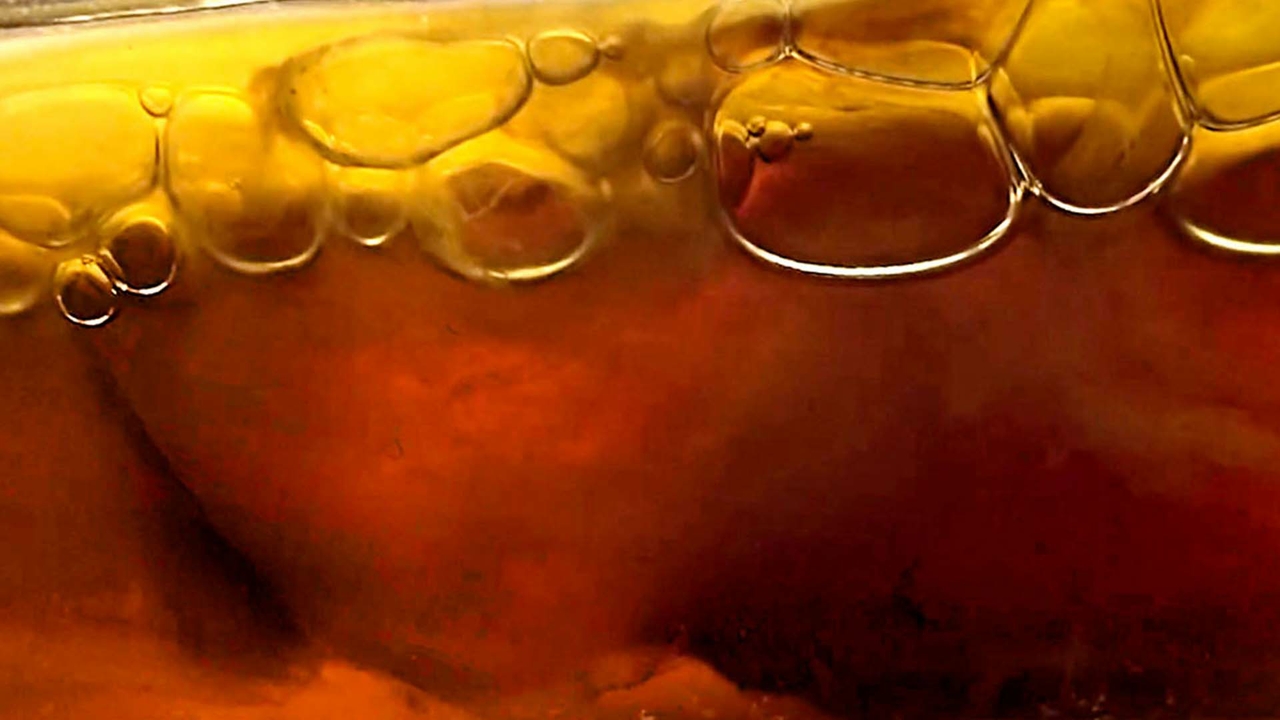 SCOBY bubbles
