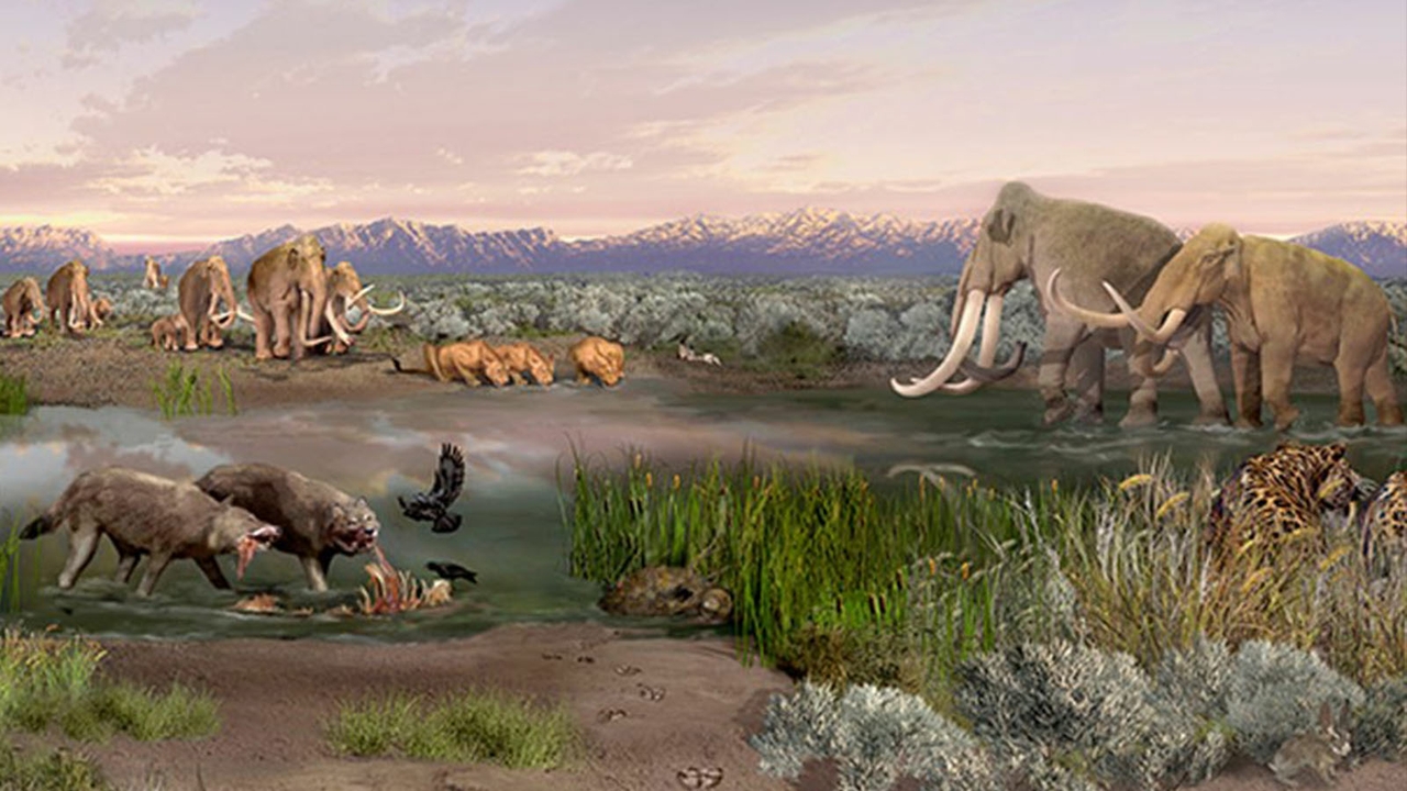 Ancient mammals