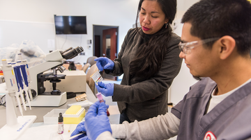WeR1: Investing in Faculty Success