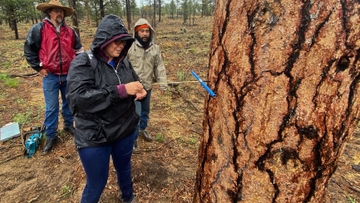 Program focuses on natural resources management at UNM-Taos