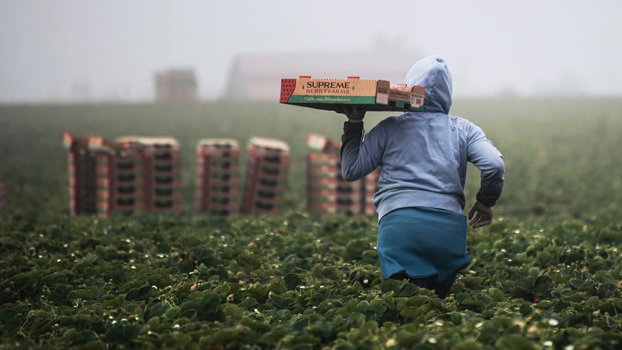 A migrant worker