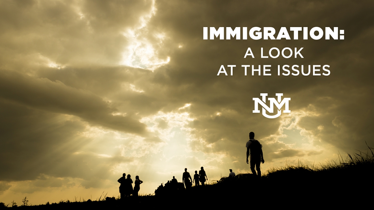 Immigration: A Look at the Issues