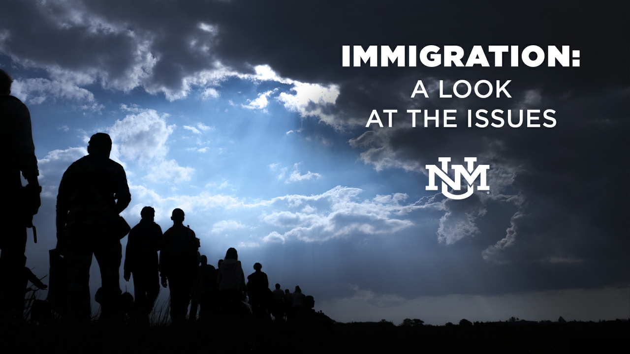 Immigration: A look at the issues