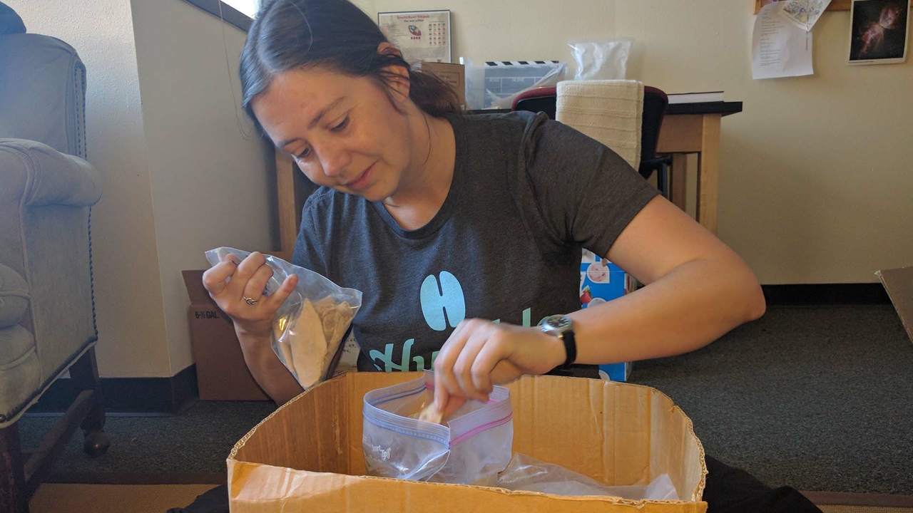Emily Jones sorting samples