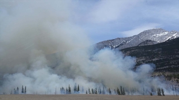 Wildfire effects in the state