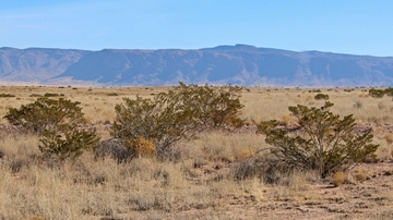 UNM hosts Northern Rio Grande Corridor Collaborative workshop on drylands resilience