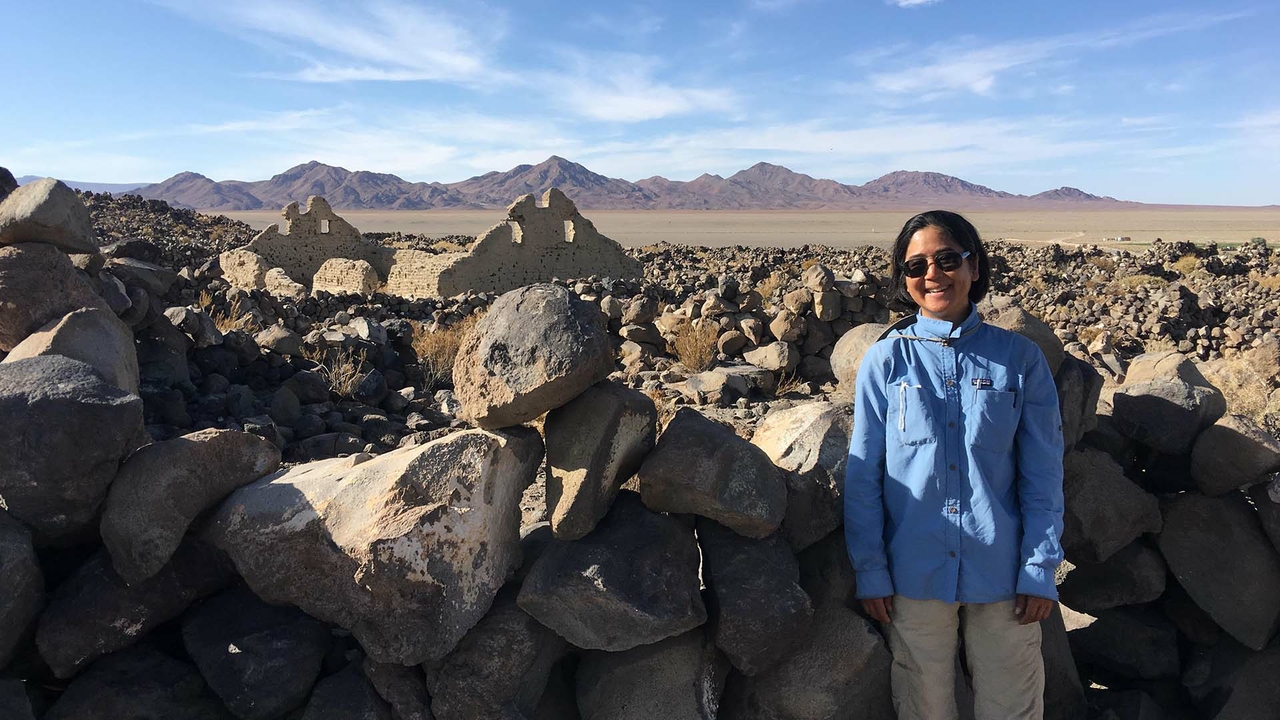 Studying the Inka