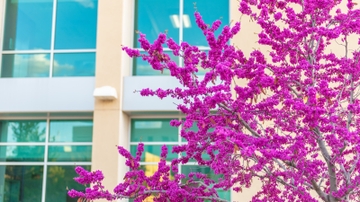 UNM registration for the 2025 Summer/Fall semesters begins April 7