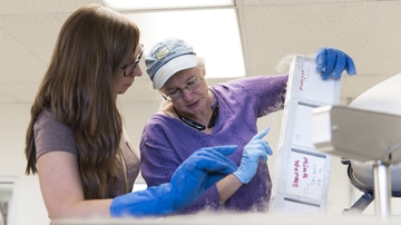 UROC showcases student research