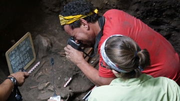 Migrants from south carrying maize were early Maya ancestors