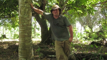 Less predictable rainfall may have caused disintegration of early Maya societies
