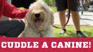 Canines on campus to ease finals stress