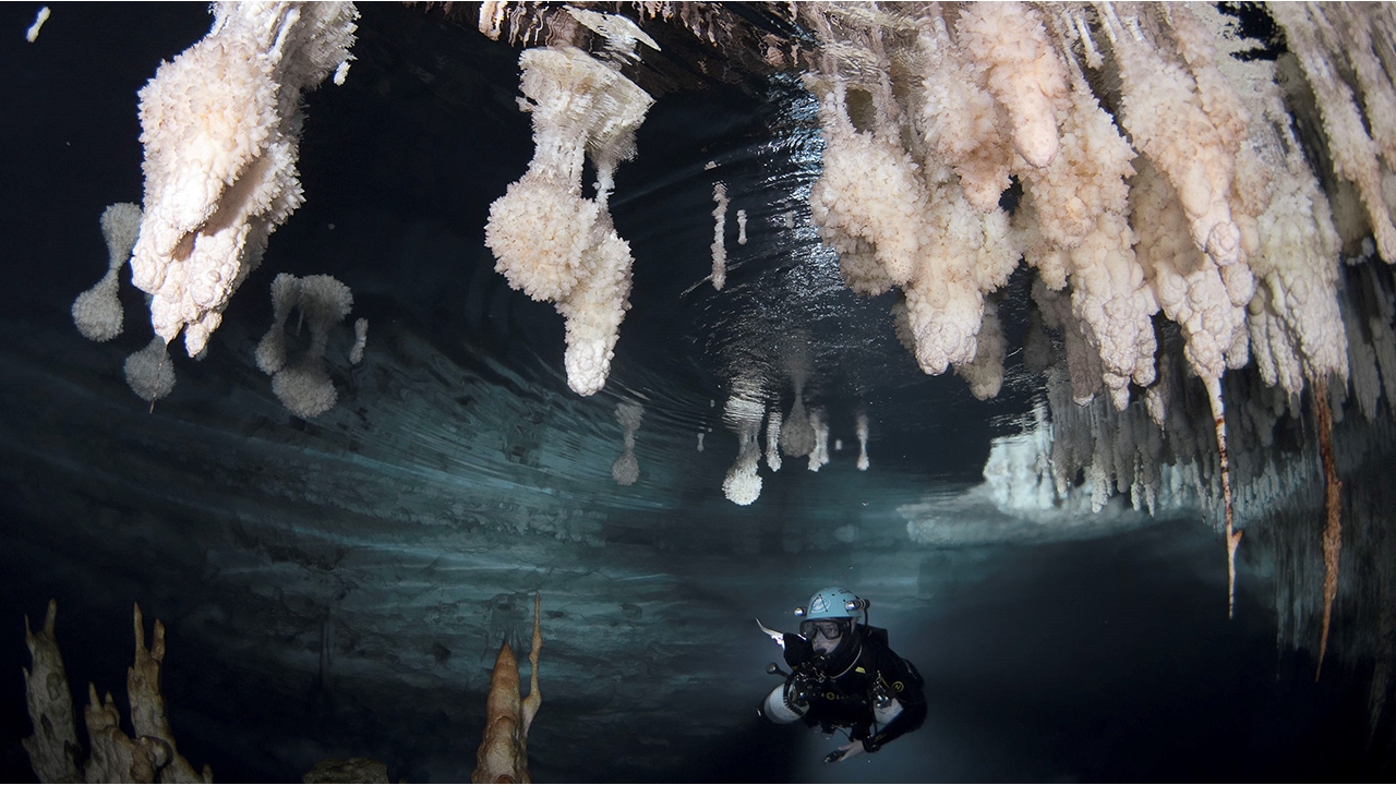 A diver explores 