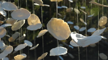 UNM Honors College hosts art installation featuring alumna Anna Westfall