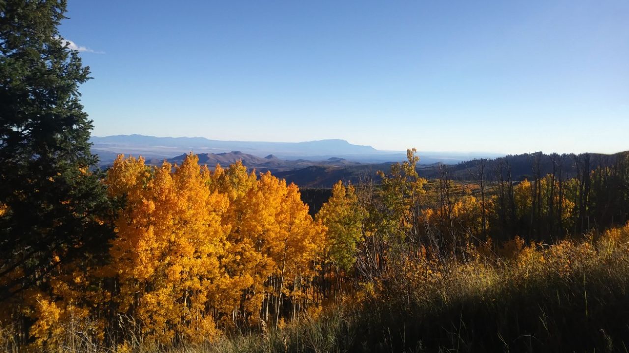 Four Corners Region
