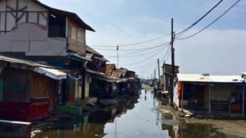 International team of scientists find many coastal cities worldwide vulnerable to sea level rise due to rapid land sinking