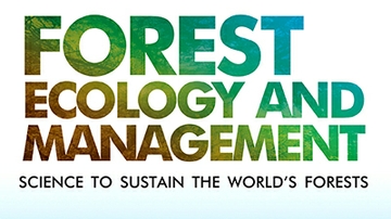 UNM scientists study seedling survival in post-wildfire landscape