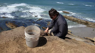JAR lecturer will discuss marine ecosystems conservation, archaeological collections