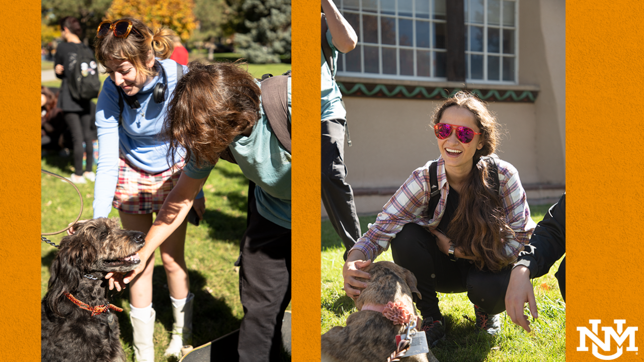 Students pet dogs as part of 'Cuddle a Canine'