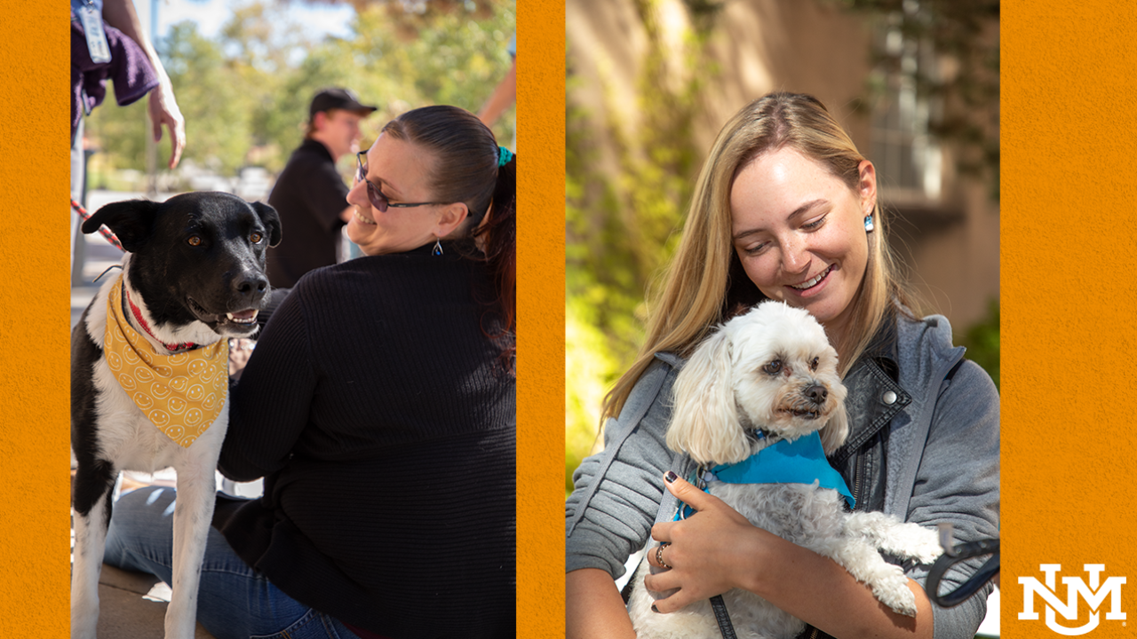 Students pet dogs as part of 'Cuddle a Canine'