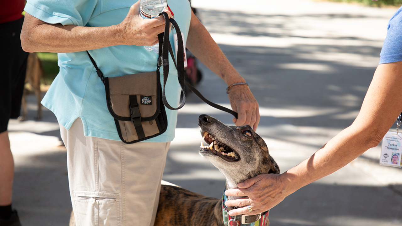 Southwest Canine Corps of Volunteers brings dogs to campus