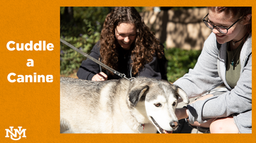 ‘Cuddle a Canine’ event boosts paws-itivity 