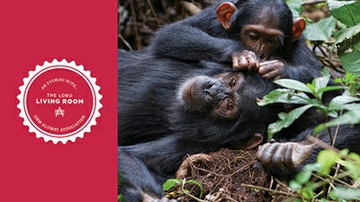 Lobo Living Room 10 Year Anniversary: State-of-the-Art Research from New Mexico to Africa