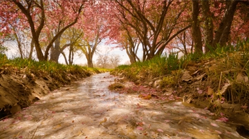 Acequia documentary by UNM filmmaker to premiere at National Hispanic Cultural Center