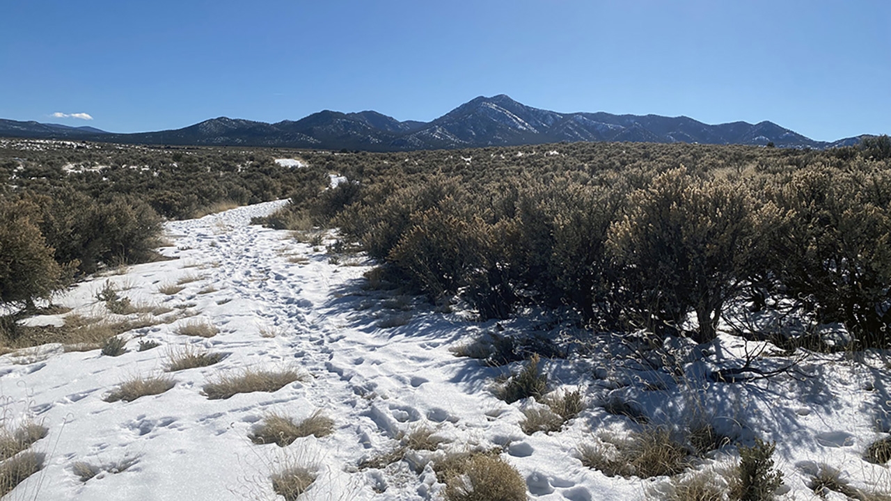 UNM-Taos Loop Trail