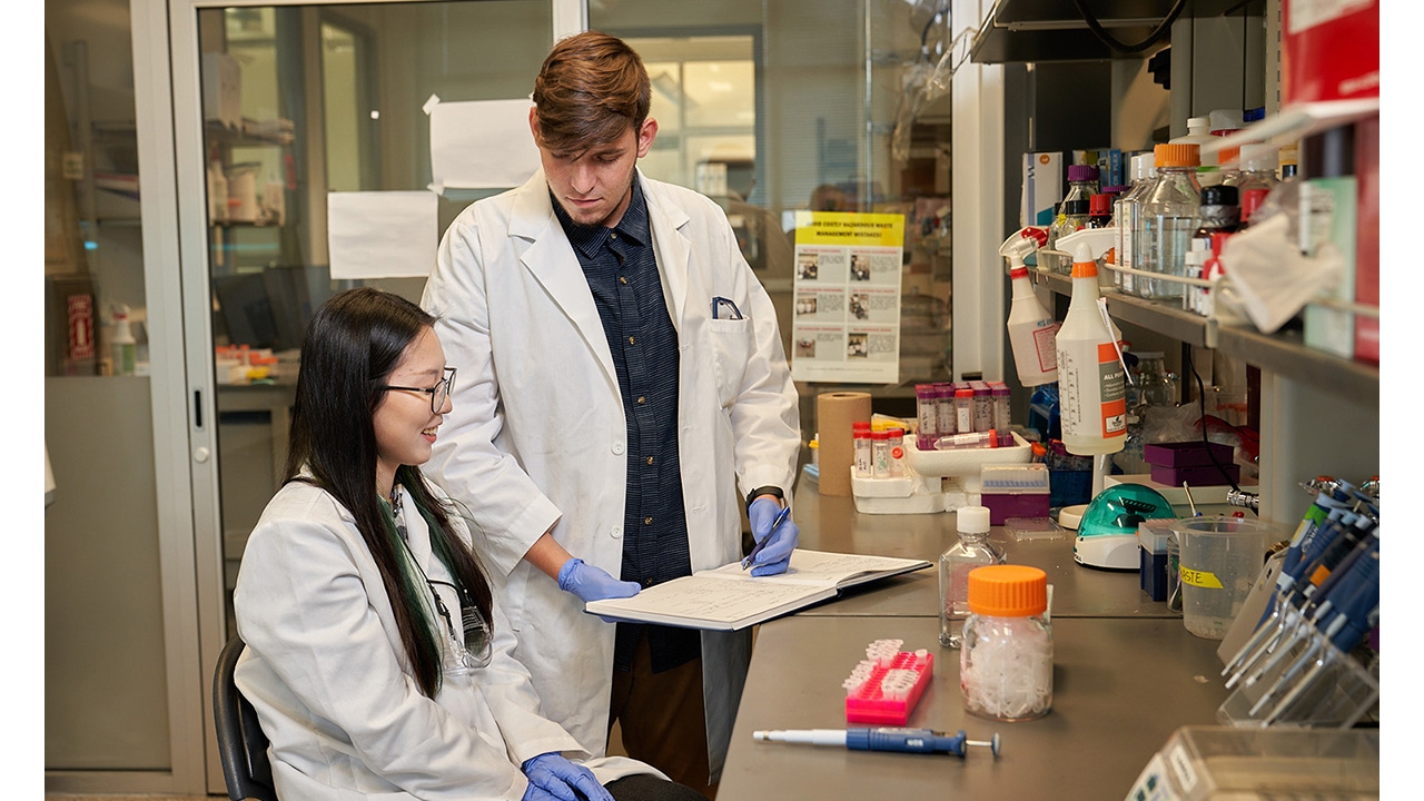 Chemistry students work in a lab.