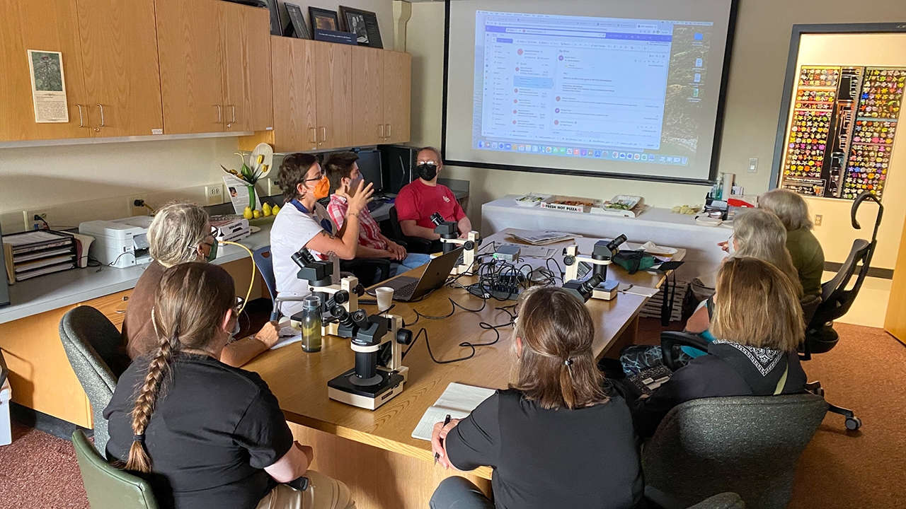 Researchers discuss plant identification