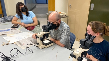 UNM Herbarium in Museum of Southwestern Biology hosts Plant Identification Night 