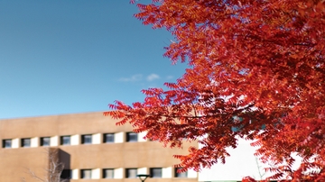 Registration for UNM's 2025 spring semester begins on Nov. 11