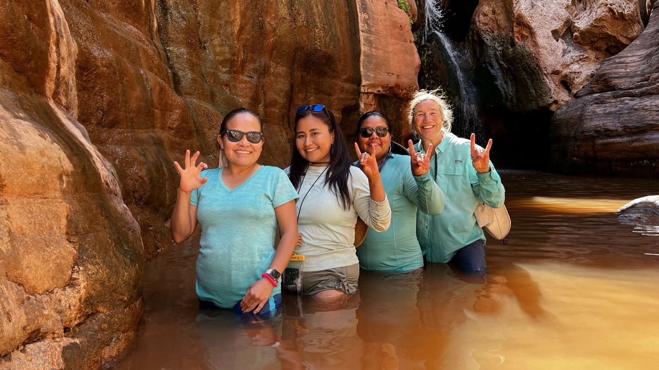 Part of the research team at the Elves Chasm