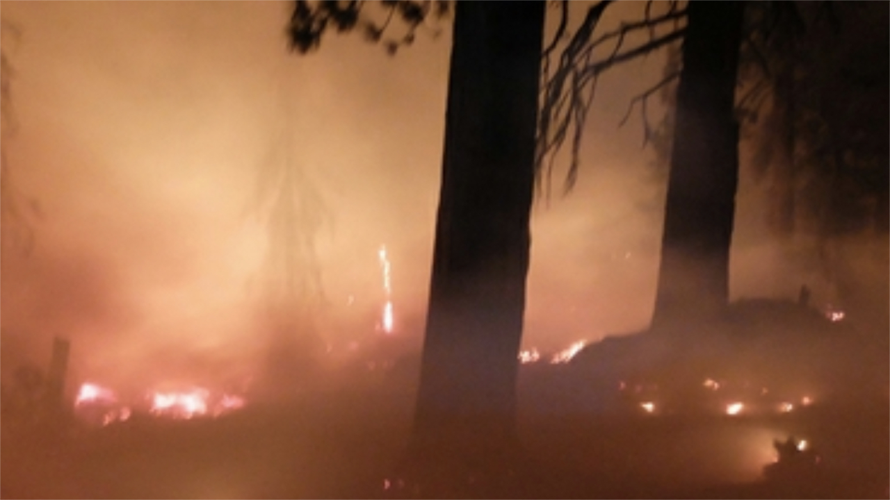 Wildfire Smoke Impact
