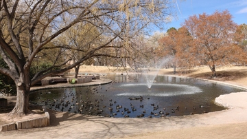 Duck Pond cleaning scheduled during spring break
