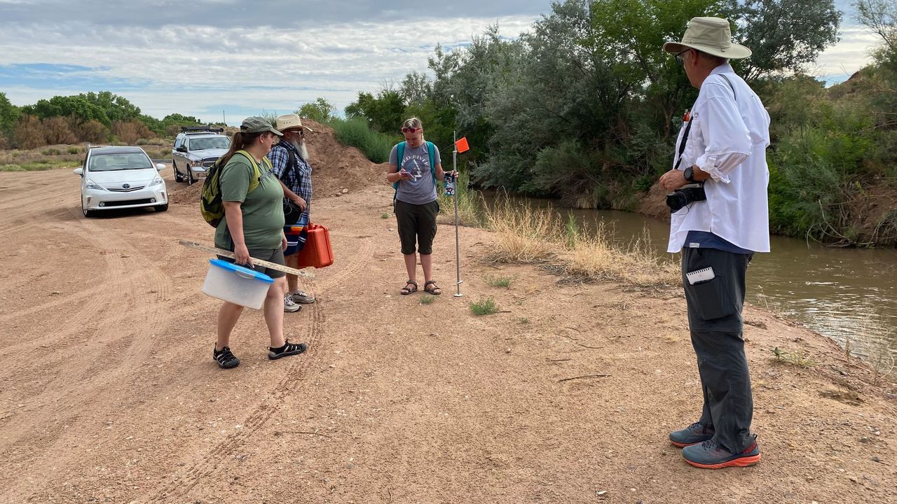 Data collection