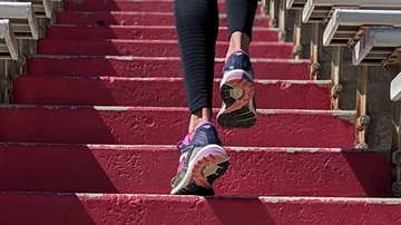 6th Annual Stadium Stair Challenge to Benefit Agora Crisis Center